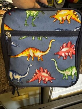 Pottery Barn Kids Dinosaur Lunch box